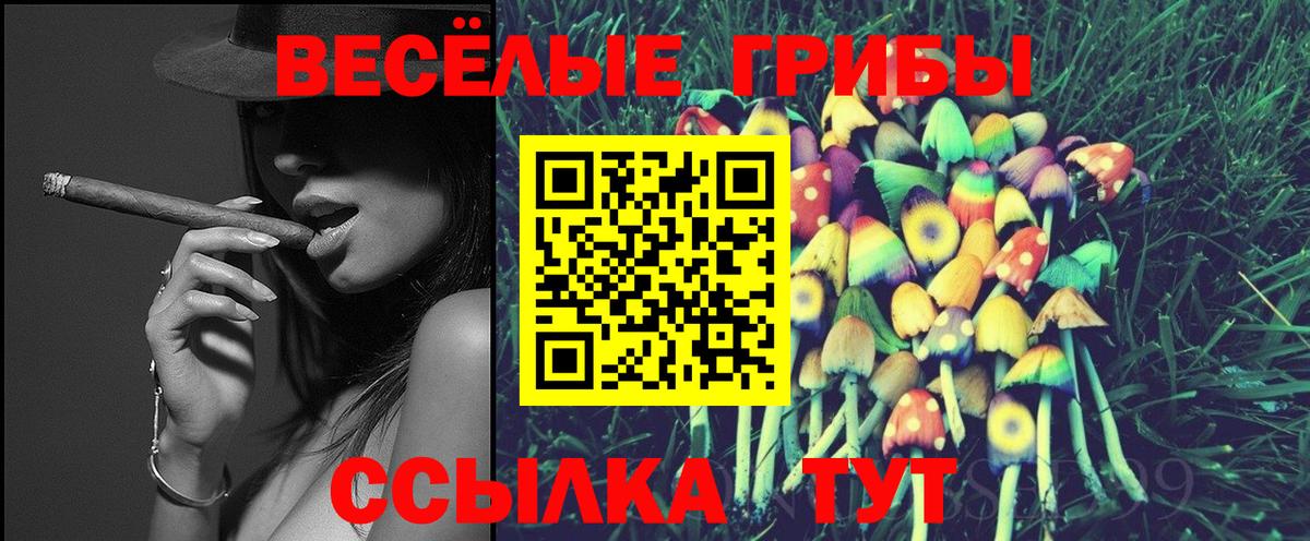 Псилоцибиновые грибы GOLDEN TEACHER  Вход с VPN  Донецк 